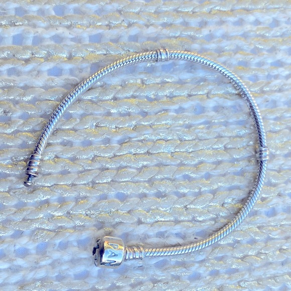 Pandora ✨ Classic Bracelet + 9 CHARMS! ✨ - Picture 5 of 6